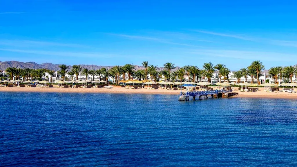 الفندق مينافيل ريزورت - سفاجا